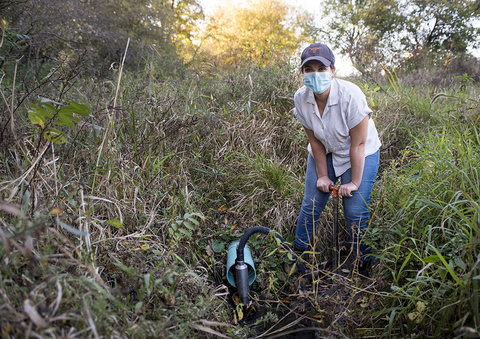 A young woman pushes an instrument into the ground.