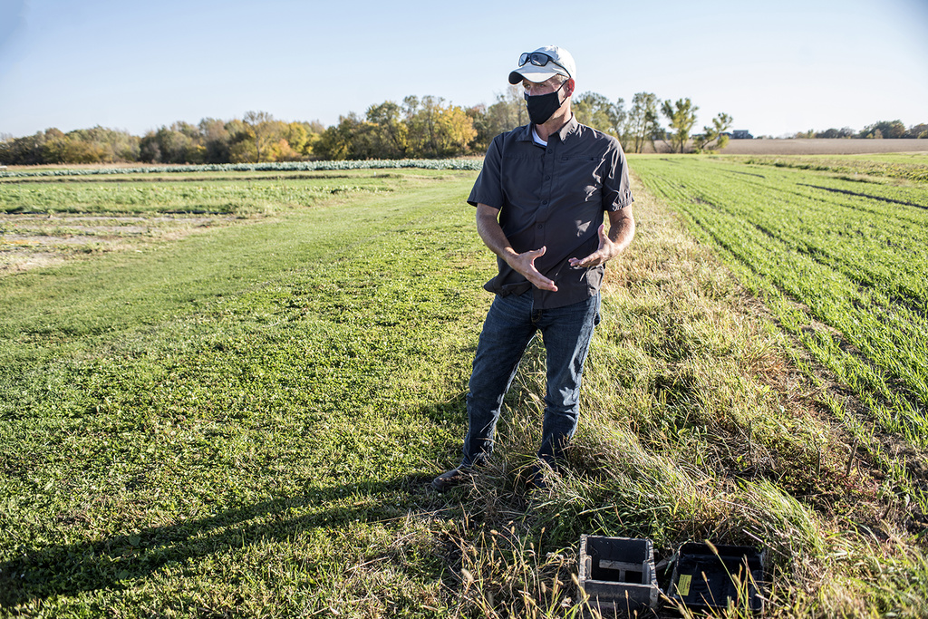 A man stands in a green farm field, demonstrating how conservation drainage works.