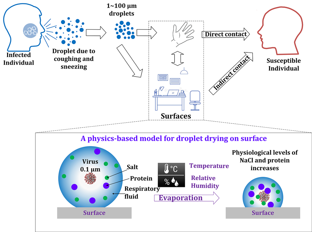 A diagram illustrating how droplets dry on surfaces