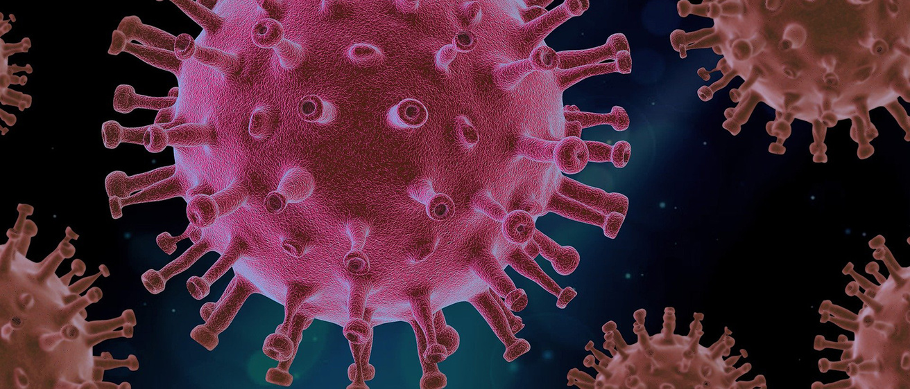 Closeup of a coronavirus